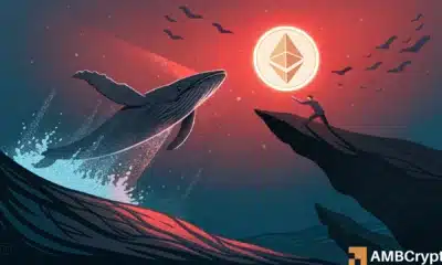 以太坊杠杆交易损失 64 亿美元，但巨鲸持续增持——背后缘由揭秘